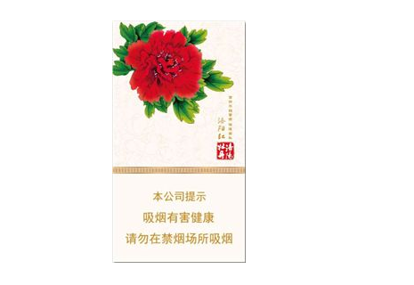 青竹香烟总仓【青竹香烟是什么年代的】